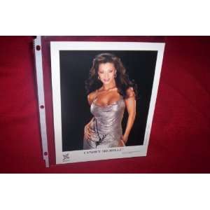  WWE CANDICE MICHELLE HAND SIGNED AUTOGRAPHED Everything 