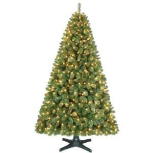 Jaclyn Smith 6.5ft Sherwood Christmas Tree with Clear Lights