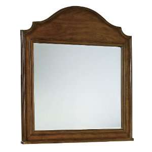 Ty Pennington Landscape/Vertical Mirror with Chestnut Finish by Howard 