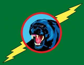 Military Insignia using a black panther symbol and a lightning bolt 