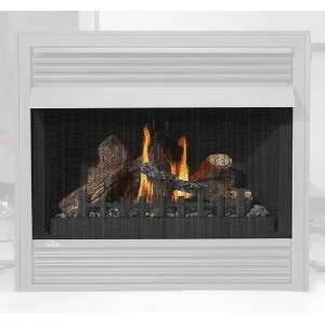  Napolean Fireplaces GD 565 1KT Safety Screen