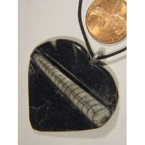   Nautiloid Fossil Pendant Necklace Jewelry with Cord 