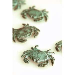Crab Coastal Verdi Green Minimal Accents 