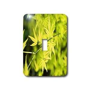 Yves Creations Colorful Leaves   Vibrant Yellow Leaves   Light Switch 