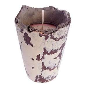    Terra Vasa Warm Cinnamon Buns Candle (Medium Round) Beauty