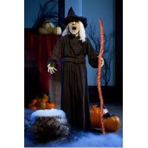   Party By Sunstar Industries 5 Standing Witch With Stick Animated Prop