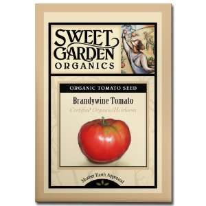  Brandywine Tomato   Certified Organic Heirloom Seeds 