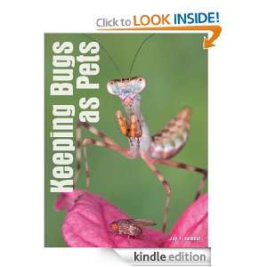 Keeping Bugs as Pets Jay Hemdal  Kindle Store