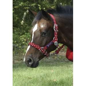 Jack Lami by Lami Cell Halter with Lead 