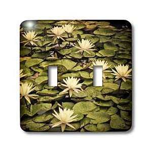 Boehm Photography Flower   Yellow Lotus Flowers   Light Switch Covers 