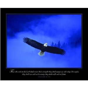   Poster   Eagle in the Mist   Motivational and Inspirational Poster