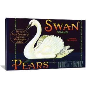  Swan Brand Pears   Gallery Wrapped Canvas   Museum Quality 