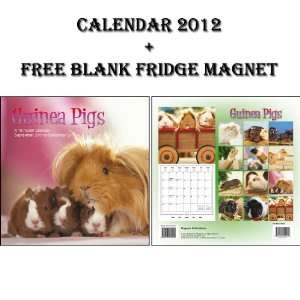  GUINEA PIGS 2012 CALENDAR + FREE FRIDGE MAGNET   BY MAGNUM 