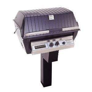   Premium Propane Gas Grill On Black In Ground Post