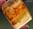   Deep Yellow Columbian Copal Amber With 2.1 cm Winged Termite  