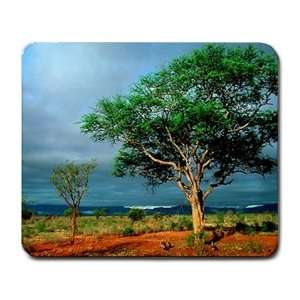  Scenic Nature Photo Large Mousepad Mouse Pad Great Gift 