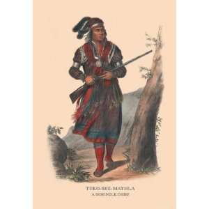   Tuko See Mathla (A Seminole Chief) 20x30 poster