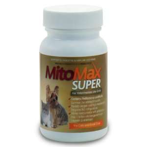   SUPER Probiotics for Cats and Dogs SMALL (90 Caps)