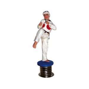  Tae Kwon Do Dashboard Figure