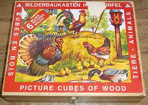   Bilderbaukasten Holzwurfel Germany Animal Picture Cubes of Wood Puzzle